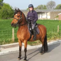 Aurélie Houbiers et son cheval Camaro