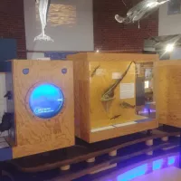 L'expostion est à découvrir au Muséum de Bourges jusqu'au 19 novembre © RCF - Guillaume Martin-Deguéret.
