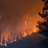 Feu de forêt. ©Unsplash