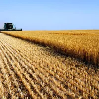  Le bouleversement climatique a un impact économique qui peut freiner de jeunes agriculteurs à reprendre des exploitations, alors qu’aujourd'hui, un agriculteur sur deux a plus de 55 ans. 