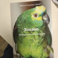 Zonzon est le personnage principal de ce livre. ©Hugo Sastre