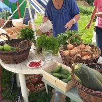 La ferme urbaine Quelibelle sur le quartier de Quéliverzan à Brest @ Christophe Pluchon, RCF 2023