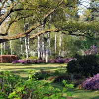 Arboretum d'Orléans