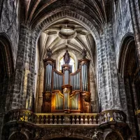 orgue