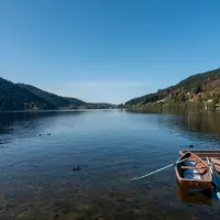 A Gérardmer, 70 à 80% des touristes sont Français. Ils sont suivis des Belges, Hollandais et Allemands. 