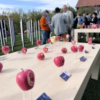 61e édition de la Fête des jardins et des saveurs