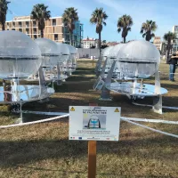 Neuf sphères, d’un mètre vingt de diamètre, sont installées dans le parc de la Navale. Photo TS