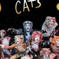 Comédie musicale "Cats"
