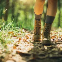La clôture de la chasse est fixée au 29 février 2024. 