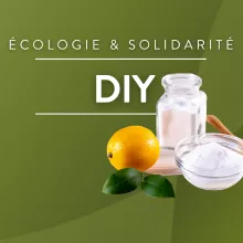 Doityourself_RCF17