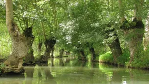 parc-marais-poitevin.fr