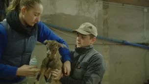 2021 Lycée de Ressins - des élèves lors de l'atelier allaitement des chevreaux.