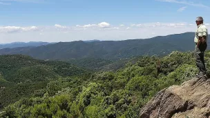 Point de vue de la route de la Crête de la Verne, forêt domaniale des Maures - Cécile Dardignac / ONF