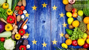 touteleurope.eu