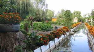 Une parcelle des marais de Bourges. 