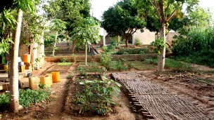 CCFD Terre Solidaire - Agro-écologie au Mali