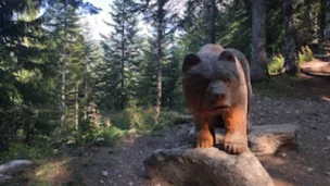 Fontaine de l'Ours, Boscodon. Cindy Benlakehal/ONF