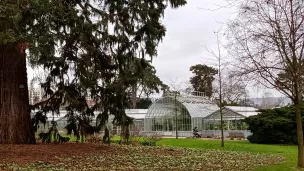 2021 RCF Calvados-Manche - Jardin des plantes de Rouen