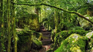 La Dépêche du Midi