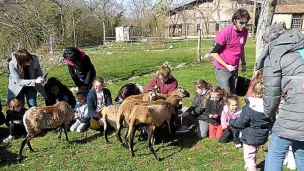 La Dépêche du Midi