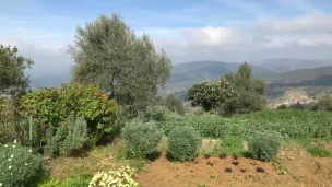 RCF / Véronique Alzieu - Permaculture à la ferme pédagogique en agriculture biologique Kissane