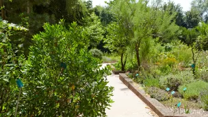 2020 Conservatoire botanique national de Bailleul, Jardin des plantes médicinales