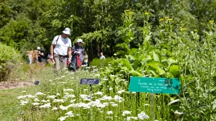 2020 Conservatoire botanique national de Bailleul, Jardin des plantes sauvages