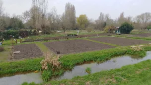 Les marais de Bourges.