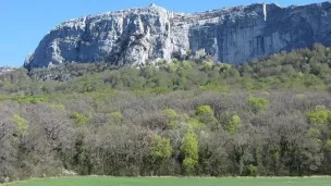 la forêt d'exception de la Sainte Baume