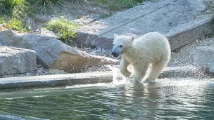 zoo de Mulhouse