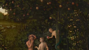 La Chute de l'homme par Lucas Cranach, illustration du XVIe siècle.