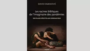 Couverture : Les racines bibliques de l'imaginaire des pandémies  de David Hamidovic