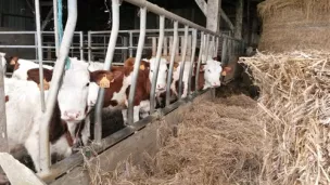 repertoireinstallation.com