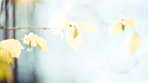 andrew-pons-UNSPLASH