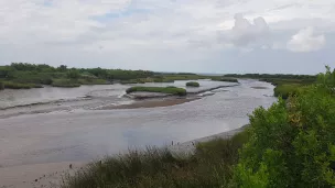 Le domaine de Certes-Graveyron, "espace naturel sensible", au coeur du bassin d'Arcachon