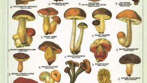 Eyrolles