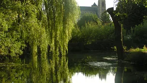 Les marais de Bourges.