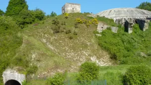 Dôme de La Coupole ©LaCoupole