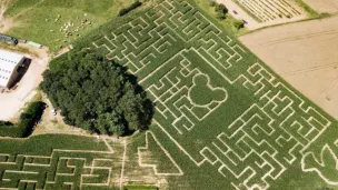 ©2021 - jura-tourism.com - Le Labyrinthe Maïs de Foucherans