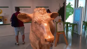 ©2021 - RCF Jura - La Maison du Comté de Poligny aide à appréhender toute la filière de la première AOP fromagère de France