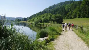 Le Plan d'eau des Lésines dans le Bugey