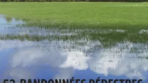 Etang dans la Dombes