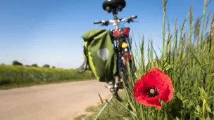 Vélo en bord de chemin ©Image par Thomas B. de Pixabay