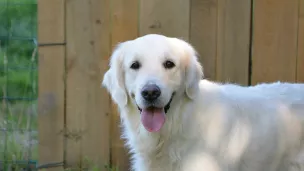 Illustration Pixabay