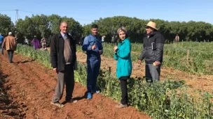 Formation à la Ferme Biologique de Benslimane au Maroc - Véronique Alzieu