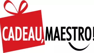 cadeau-maestro.com