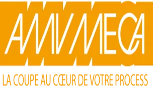amvmeca.com