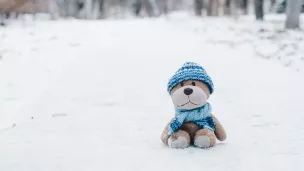 Peluche seule dans la neige ©Photo by Marina Shatskih on Unsplash