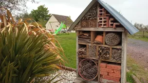 RCF - hôtel à insectes