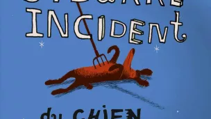 Le bizarre incident du chien pendant la nuit, de Mark Haddon.